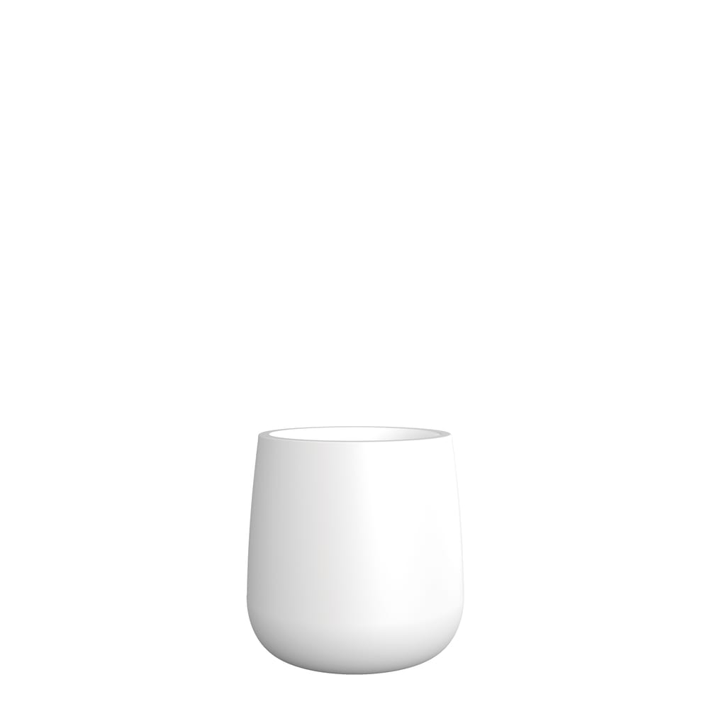 Newgarden presents Camelia 40 white in Pots & Planters