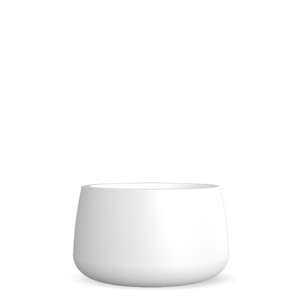 Newgarden presents Camelia 60 white in Pots & Planters