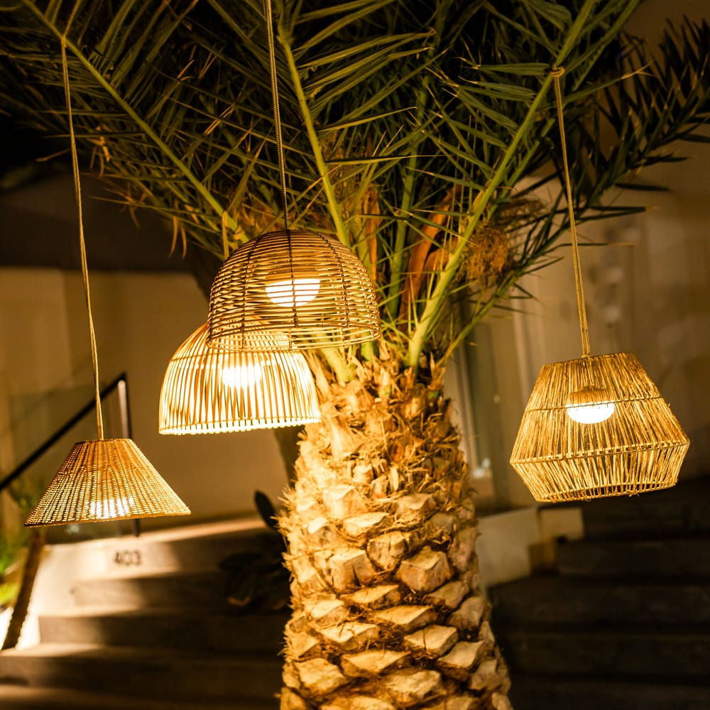 Elevate your lighting with Sisine's easy-setup, high-lumen pendant. IP54 protected and compatible with Reona and Bossa lights.