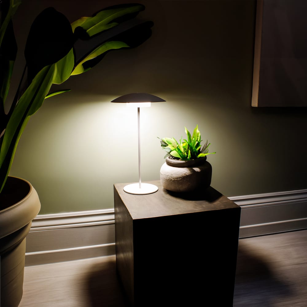 The Sardinia table lamp that offers adaptability, powerful lighting, and coastal charm. Perfect for any room and setting.