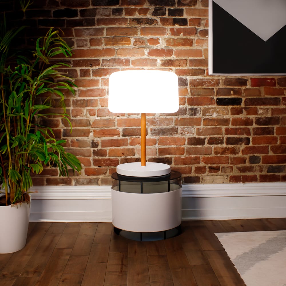 Experience versatile lighting with Chloe Plant. Ideal for both indoor & outdoor settings, complete with remote control & dimmer.