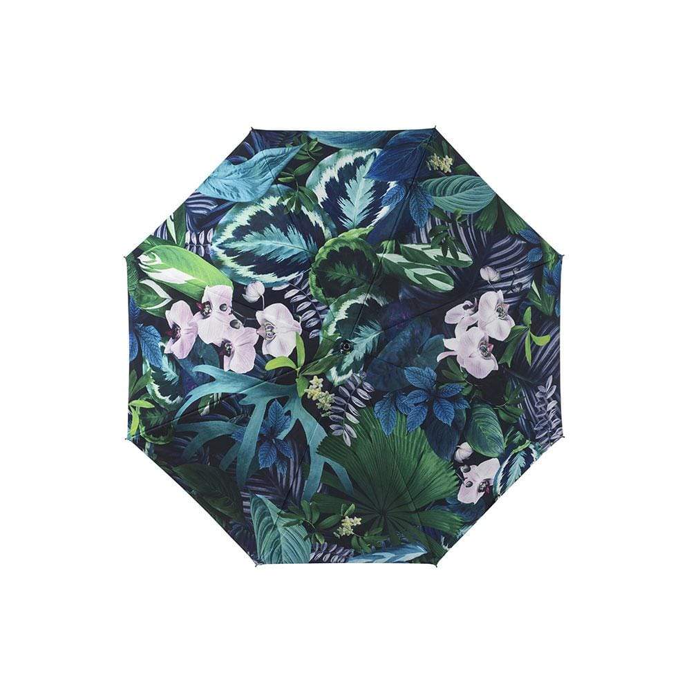 Rain Maple  -  Parasols & Rain Umbrellas  by  Basil Bangs